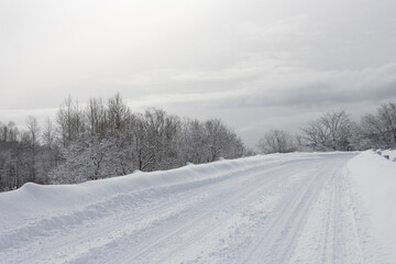 Wall Mural - snow covered empty single lane country road on bright sunny winter morning