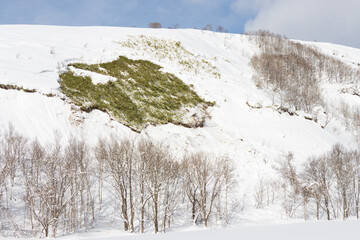 Wall Mural - small snow avalanche on winter hillside landscape