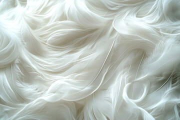 Poster - Soft, white feathers create a dreamy, textured background, swirling in elegant patterns.