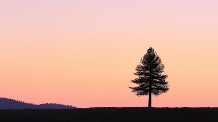 Poster - A lone pine tree silhouetted against a gradient peach-and-lavender sky