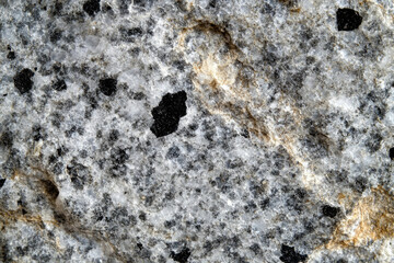 Poster - Close-up of a rough, textured rock surface with dark and light gray tones and irregular holes.