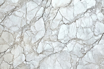 Aufkleber - Close-up view of a light gray marble slab with a network of thin, dark gray veins.