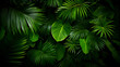 © Eko - Dense Green Tropical Foliage Background with Diverse Leaf Shapes and Textures