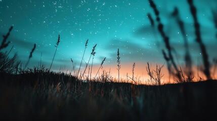 Wall Mural - A tranquil evening showcases a stunning view of a starry sky above a grassy field. The soft glow of sunset blends with the twilight, creating a captivating atmosphere
