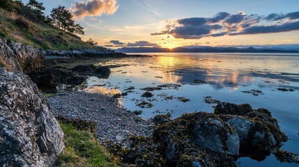 Wall Mural - The sun sets on the horizon, casting warm hues over calm waters as clouds drift in the sky. Rocky shores and vibrant seaweed create a picturesque coastal view at dusk