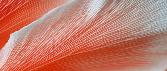 Leinwandbilder - Macro shot of flower petal capturing texture and vibrant colors