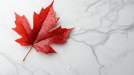 Poster - A single red maple leaf on a white marble surface, water droplets included