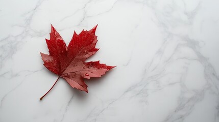 Poster - A single red maple leaf on a white marble surface, water droplets included
