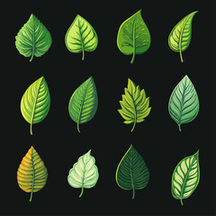 Poster - Decorative Leaf Collection with Organic Leaf Illustration on Black Background