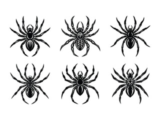 Realistic detailed spider illustrations in various styles silhouette isolated on white background