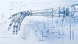 © Ratchadaporn - Detailed technical schematic blueprint of a futuristic robotic arm with human like bone and muscle structures  This digital 3D showcases the advanced engineering and innovative design of a high tech