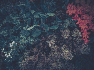 Wall Mural - artificial flowers and dense foliage create a moody, botanical arrangement. varied textures and colo