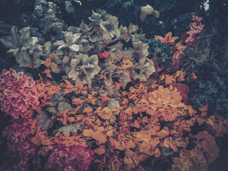 Wall Mural - a vibrant and textured display of artificial flowers in shades of orange, pink, white, and blue crea