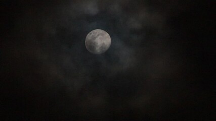 Wall Mural - full moon in the night sky