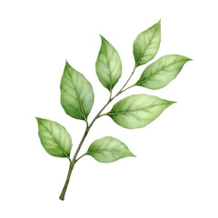 Aufkleber - Watercolor illustration of green leaves nature setting botanical art serene environment close-up viewpoint