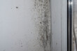 © Todayphoto - Moldy wall with black spots near window frame in humid room