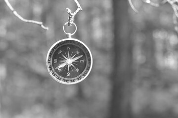Wall Mural - classic navigation compass on natural background