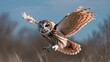 © Yuliya - Owl in flight with realistic emotions gliding through clear blue sky against a soft background