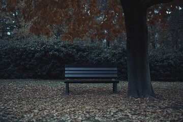Aufkleber - Solitary bench under a tree surrounded by fallen leaves in a peaceful park during soft autumn light Generative AI