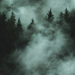 Wall Mural - Misty forest with tall evergreen trees shrouded in dense fog, creating a mysterious and ethereal atmosphere.