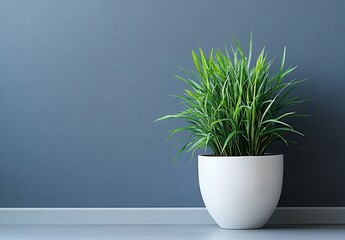 Poster - Elegant Green Plant in Modern White Pot Set Against Minimalist Gray Wall in Contemporary Indoor Space