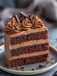 © Pixel World Vision  - Chocolate layer cake with creamy frosting and chocolate shavings on a plate