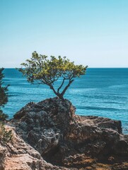 Poster - Lone tree standing tall on a rocky shore overlooking serene blue ocean water in bright daylight Generative AI