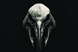 © Olena - Majestic Bird Skull: Front Perspective of an Imposing Skeleton on a Dark Canvas