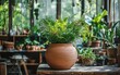 © Антон Федченко - Handcrafted clay pot surrounded by natural greenery in a pottery studio
