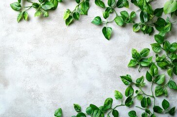 Poster - Fresh Green Leaves Arranged Artistically on a Soft Gray Concrete Background for Natural Aesthetic in Design, Branding, and Organic Themes