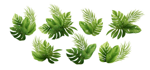 vector illustration of tropical green leaves arrangement on white background featuring exotic palms 