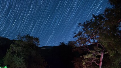 Wall Mural - startrails over mountain forest california usa astrophotography time lapse
