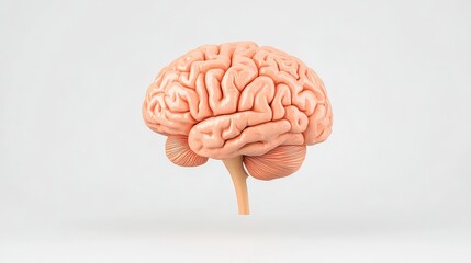 Poster - A detailed, realistic depiction of a human brain against a simple background, showcasing its unique structure and form.