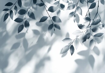 Aufkleber - Elegant interplay of shadows from delicate leaves forming a subtle artistic design : Generative AI