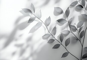 Poster - Beautiful black and white layout of branch with leaves creating interesting shadow patterns : Generative AI