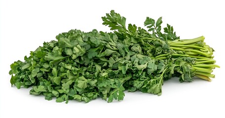 Poster - Lush Fresh Cilantro Piled Together Exuding Freshness and Aroma : Generative AI