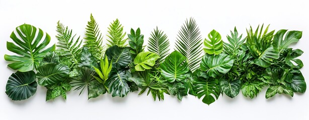 Aufkleber - Vibrant array of lush green foliage seamlessly blending for a stunning botanical layout with natural elegance : Generative AI