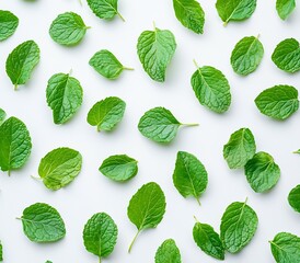 Poster - An abundance of fresh mint leaves scattered artistically on a white surface for a vibrant look : Generative AI