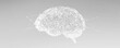 © SKIMP Art - A simple gray background with the outline of an AI brain made up of interconnected lines and dots, symbolizing neural networks in artificial intelligence Generative AI