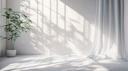 Poster - Minimalistic Grey Background with Natural Light and Plant