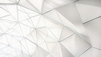Poster - Clean White Geometric Background with Textured Lines and Shapes