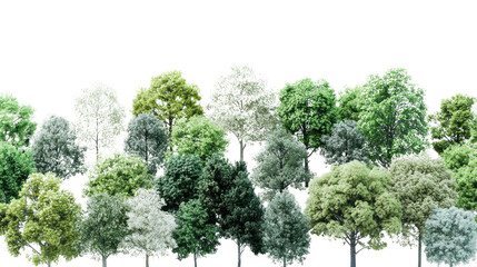 A variety of lush green trees with different textures isolated on a white background.