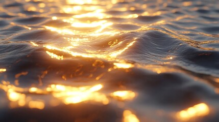 Wall Mural - golden sunlight reflects on calm and rippling ocean water beautifully