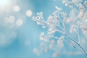 Leinwandbilder - Frozen ice crystals create a delicate frost effect with subtle reflections in a soft winter landscape