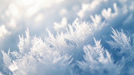 Poster - Beautiful frozen ice crystals create an abstract frost effect with subtle reflections and soft winter aesthetics in a serene winter landscape