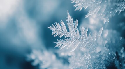 Leinwandbilder - Delicate frozen ice crystals capture subtle reflections in an abstract frost aesthetic during a serene winter day