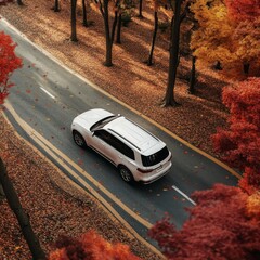 Poster - White SUV Driving Through Autumn Foliage: A Scenic Journey