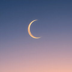 Wall Mural - moon and clouds