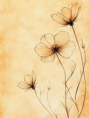 Poster - Elegant hand drawn floral sketches on aged paper showcasing delicate line art in soft vintage tones with perfect golden ratio balance
