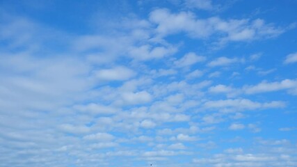 Wall Mural - A time-lapse video where layers of white clouds drift leisurely in a vibrant blue sky. High-quality video. Timelapse. Cloud background. 4K.

